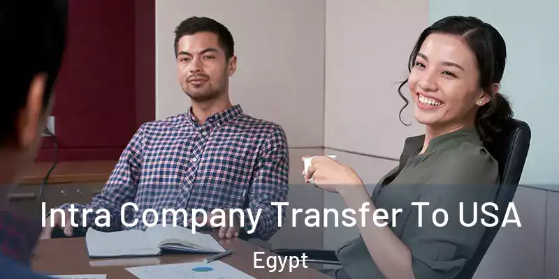 Intra Company Transfer To USA Egypt
