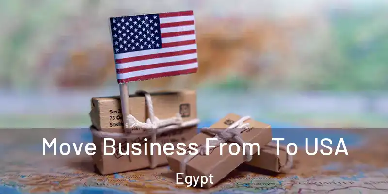 Move Business From To USA Egypt
