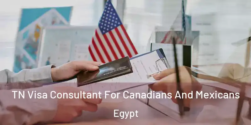 TN Visa Consultant For Canadians And Mexicans Egypt